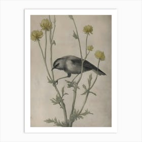 Bird Perched On A Flower Art Print