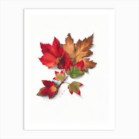 Autumn Leaves 14 Art Print