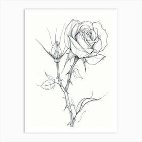 English Rose Black And White Line Drawing 30 Art Print