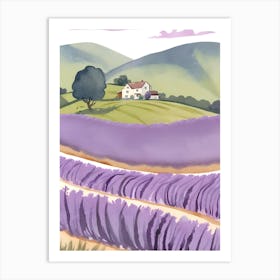 Lavender Field 6 Art Print