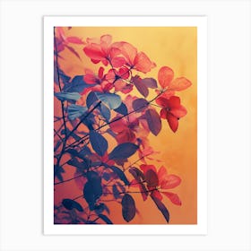 Hibiscus 5 Art Print