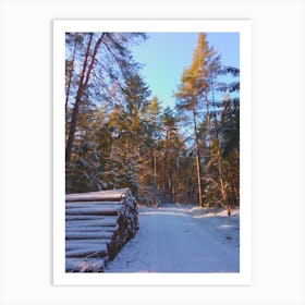 Snowy Forest Art Print