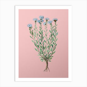 Vintage Globe Daisies Botanical on Soft Pink n.0006 Art Print