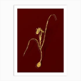 Vintage Barbary Nut Botanical in Gold on Red n.0256 Art Print