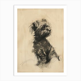 Lowchen Dog Charcoal Line 1 Art Print