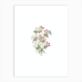 Vintage Thick Flower Slender Tube Botanical Illustration on Pure White n.0132 Art Print