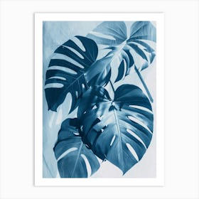 Monstera IV Art Print