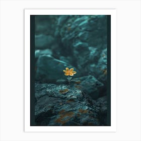 Flower On Rock Art Print