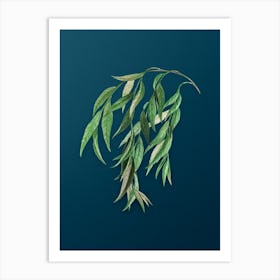 Vintage Babylon Willow Botanical Art on Teal Blue Art Print