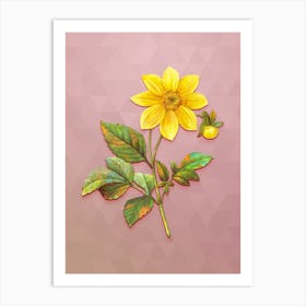 Vintage Dahlia Simplex Botanical Art on Crystal Rose n.0335 Art Print