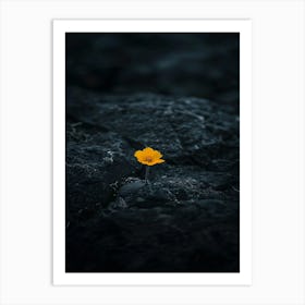 Single Flower On A Rock 9 Art Print