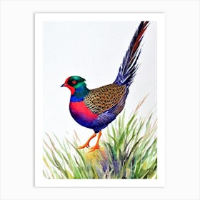 Pheasant 2 Watercolour Bird Art Print