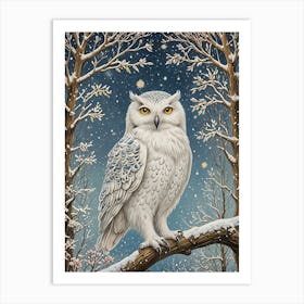 Winter Owl Art Print