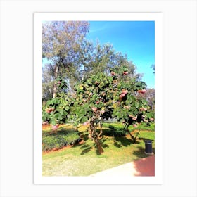 cherry Tree In The Park Art Print