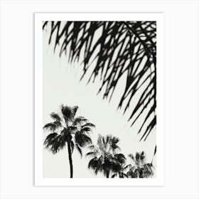 Palm Trees Black and White_2192479 Art Print