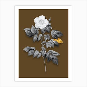 Vintage Leschenaults Rose Black and White Gold Leaf Floral Art on Coffee Brown n.0345 Art Print