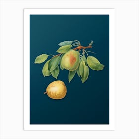 Vintage Pear Botanical Art on Teal Blue n.0973 Art Print