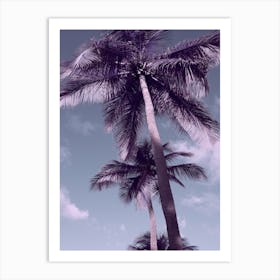 Palm Tree Sky Art Print