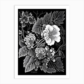 Blackberry Blossom Wildflower Linocut 1 Art Print