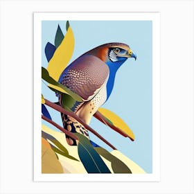 Eurasian Sparrowhawk Pop Matisse 2 Bird Art Print