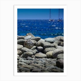 Rocks On The Beach Art Print