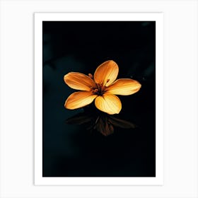 Lily Flower Art Print