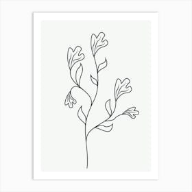 Line Drawing Of A Flower Art Print