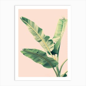 Banana Leaf 18 Art Print