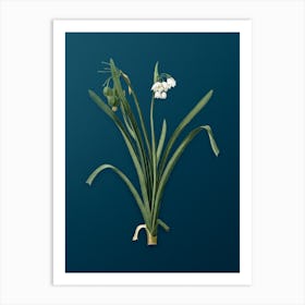 Vintage Summer Snowflake Botanical Art on Teal Blue n.0942 Art Print