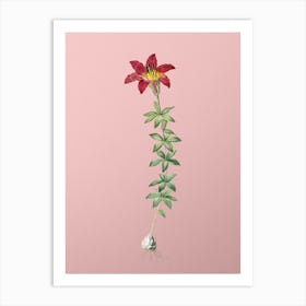Vintage Wood Lily Botanical on Soft Pink n.0356 Art Print