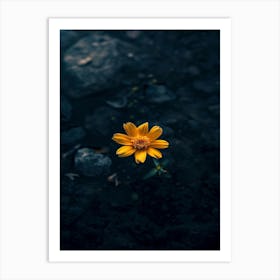 Yellow Flower In Water Art Print