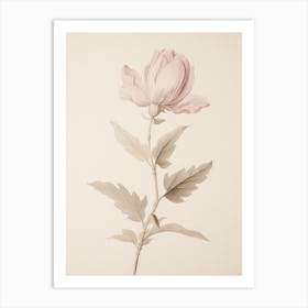 Neutral Pink Vintage Flower Art Print