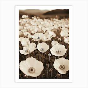 Poppy Field Art Print