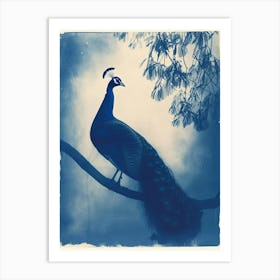 Peacock In The Tree Cyanotype Inspired 4 Art Print