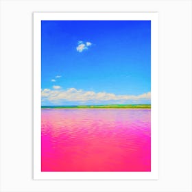 The Pink Lake Art Print
