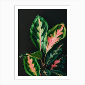 Green Plant On Black Background Art Print