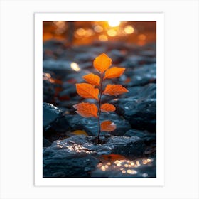 Autumn Leaves On Rocks Art Print