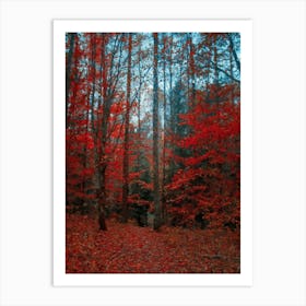 Autumn Red Forest, Oil Painting Art Print