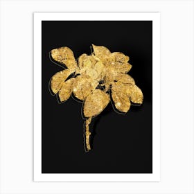 Vintage Magnolia Elegans Botanical in Gold on Black n.0220 Art Print
