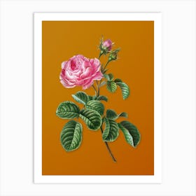 Vintage Provence Rose Botanical on Sunset Orange n.0680 Art Print