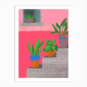 Plants On The Steps Art Print