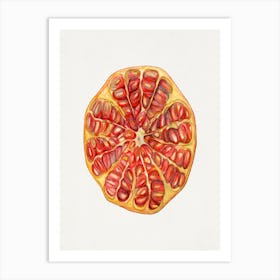 Pomegranate 4 Art Print