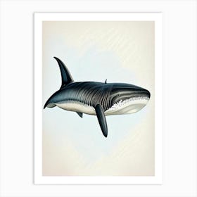Basking Shark 2 Vintage Art Print