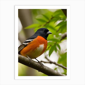 Eastern Towhee - Random Reality 1 Art Print