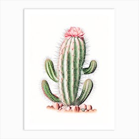 Rebutia Cactus Marker Art 2 Art Print