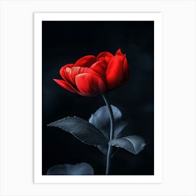 Red Tulip Art Print