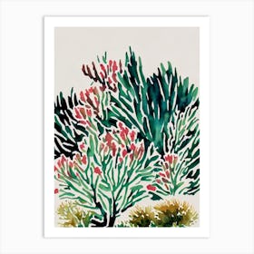 Acropora Vintage Graphic Watercolour Art Print