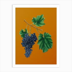 Vintage Lacrima Grapes Botanical on Sunset Orange Art Print