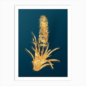 Vintage Snake Plant Botanical in Gold on Teal Blue n.0156 Art Print