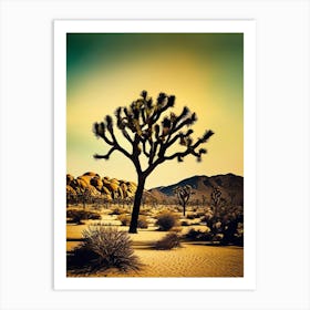 Joshua Tree In The Desert 1 Art Print